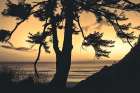 Ocean View Art Print