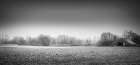 Barn on a Frosty Morning Art Print
