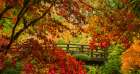Moon Bridge Autumn Serenade Art Print