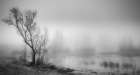 Misty Wetland Art Print