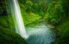 Spring Cascade Art Print