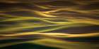 Undulating Hills Art Print