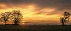 Dawns Delight Art Print