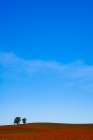 Red Carpet Blue Sky Art Print