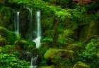 Heavenly Falls in Spring Art Print