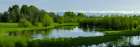 Lush Spring Wetland Art Print