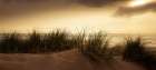 Dunes Art Print