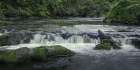 Flowing Water Art Print