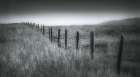Fence Line Art Print