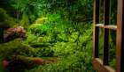 Through the Garden Window Art Print
