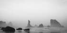 Bandon Mist and Fog II Art Print