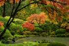 Upper Pond in Autumn Art Print