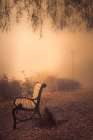Park Bench in the Fog Art Print