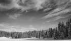 Snow-Dappled Trees Meet the Sky Art Print