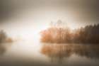 Winter Reflections Art Print