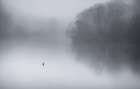 Misty Lake Art Print