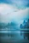 Blue Morning Art Print