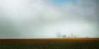 Misty Fields of Clover Art Print
