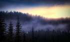 Evening Fog Drifts In Art Print