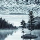 Island in the Morning Mist Art Print