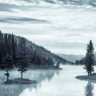 Mist on the Lake Art Print