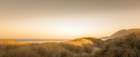 Sunlit Dunes Art Print