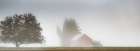 Red Barn Draped in Mist Art Print