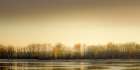 Frosty Wetland Art Print