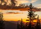 Golden Mountain Light Art Print