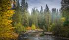 Curve in the Creek Art Print