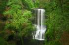 Silky Forest Falls Art Print