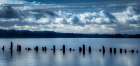 Genteel Morning on the River Art Print