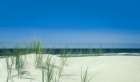 Sunlit Coastal Dunes Art Print