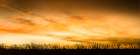 Pastoral Sunrise Art Print