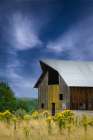 Old Barn in a Summer Field Art Print