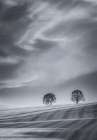 Two Trees on a Hillside Art Print