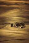 Hills and Swirls Art Print