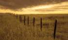 Where the Fence Meets the Sky Art Print