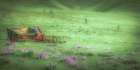 Wagon in the Meadow Art Print