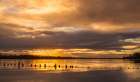 Sunrise Along the Columbia Art Print
