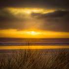 Dune Grasses in the Sunset Art Print