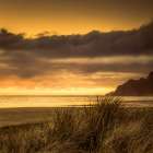 Sundown Through the Dune Grasses Art Print