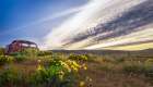 Rusty Old Car in the Wildflowers Art Print