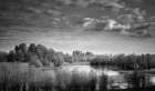 Tranquil Wetland Art Print