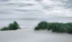 View Through the Dune Grasses Art Print