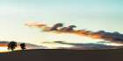 Sunset Over Rolling Hills II Art Print
