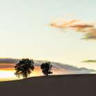 Sunset Over Rolling Hills III Art Print