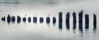 River Pilings at Daybreak Art Print