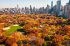 Central Park in the Fall Art Print