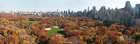 Central Park Panorama Art Print
